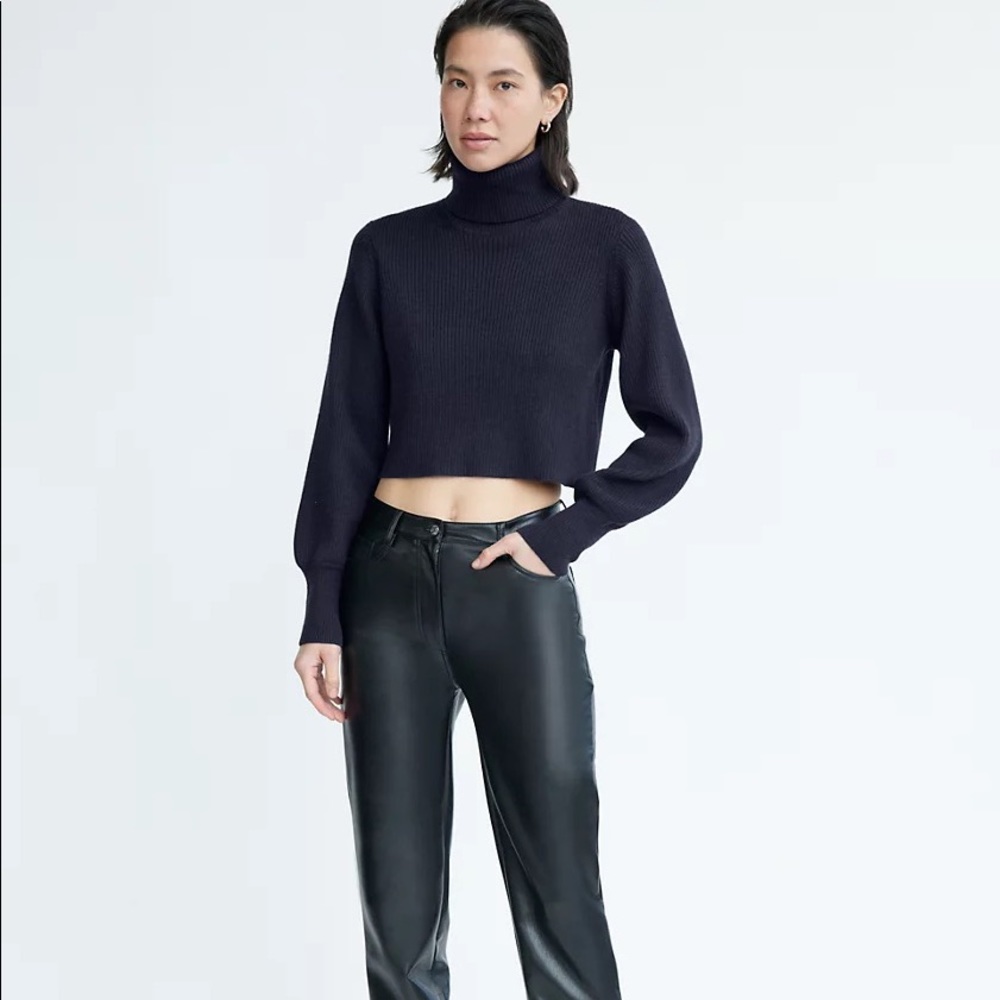 NWOT Aritzia Rebecca Turtleneck